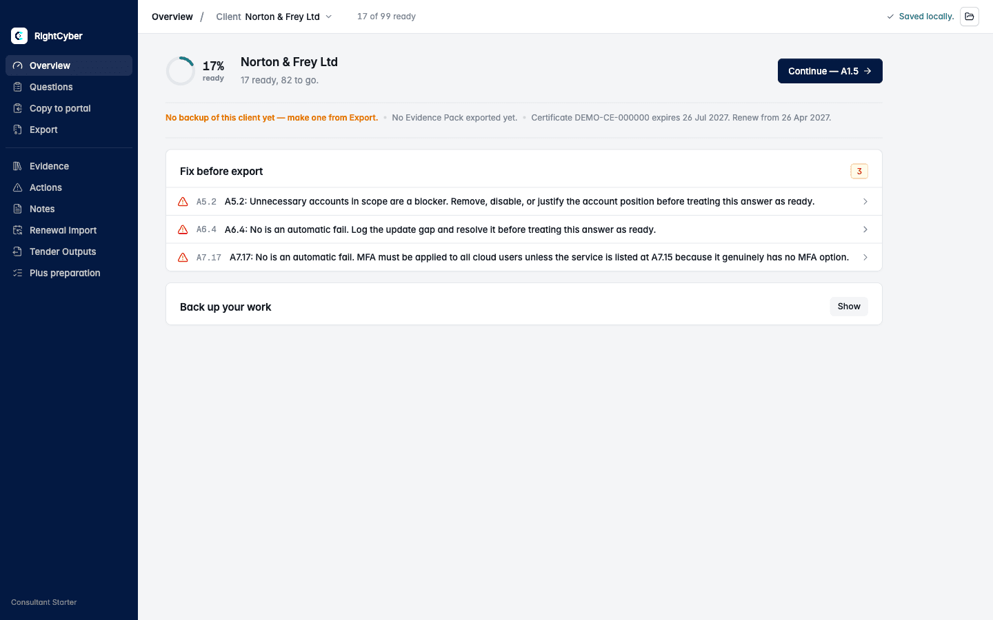 Consultant Starter overview showing the selected fictional client, preparation status and workspace navigation